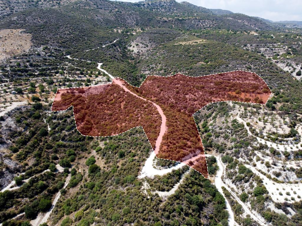 Field-Limnatis-PR35685