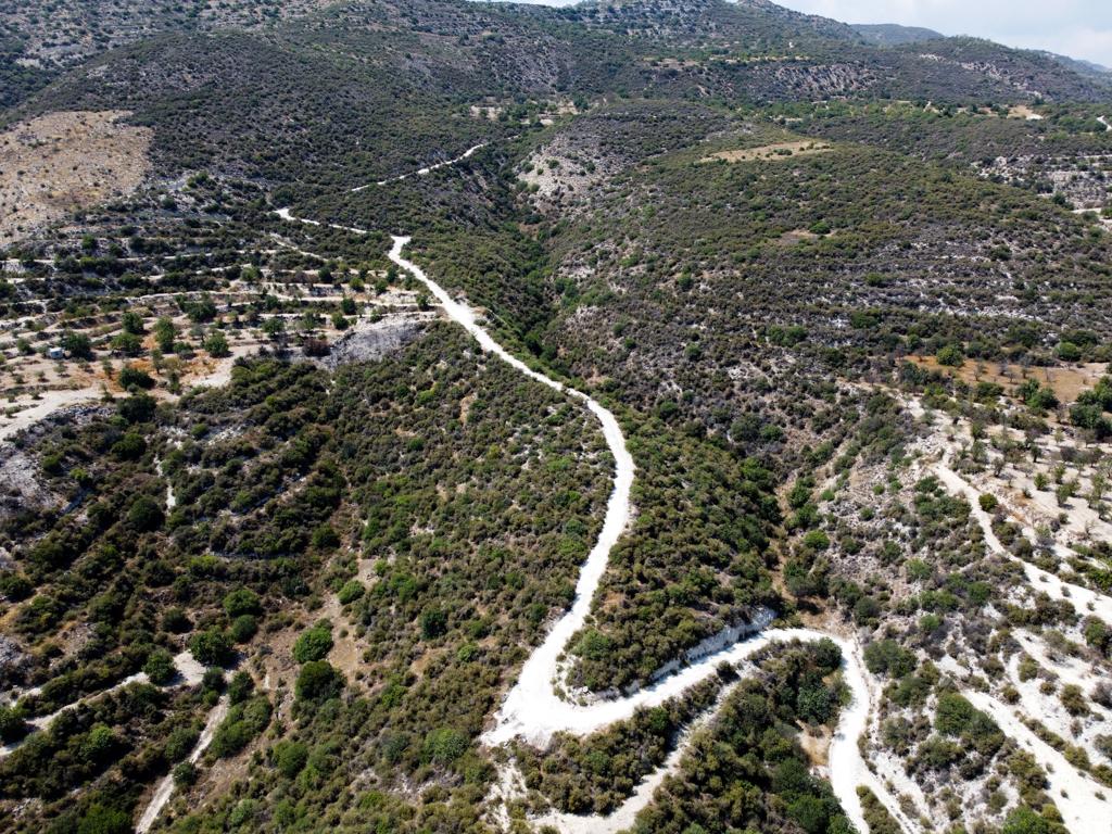 Field-Limnatis-PR35685