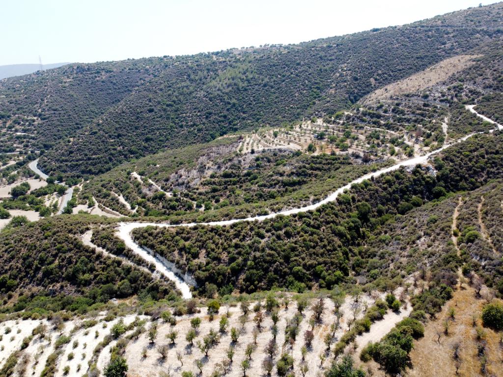 Field-Limnatis-PR35685