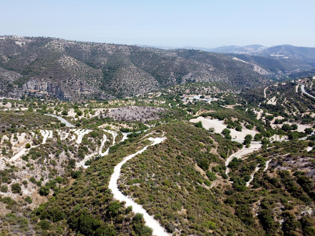 Field-Limnatis-PR35685