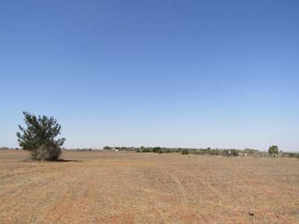 Field (Share) - Derynia, Famagusta