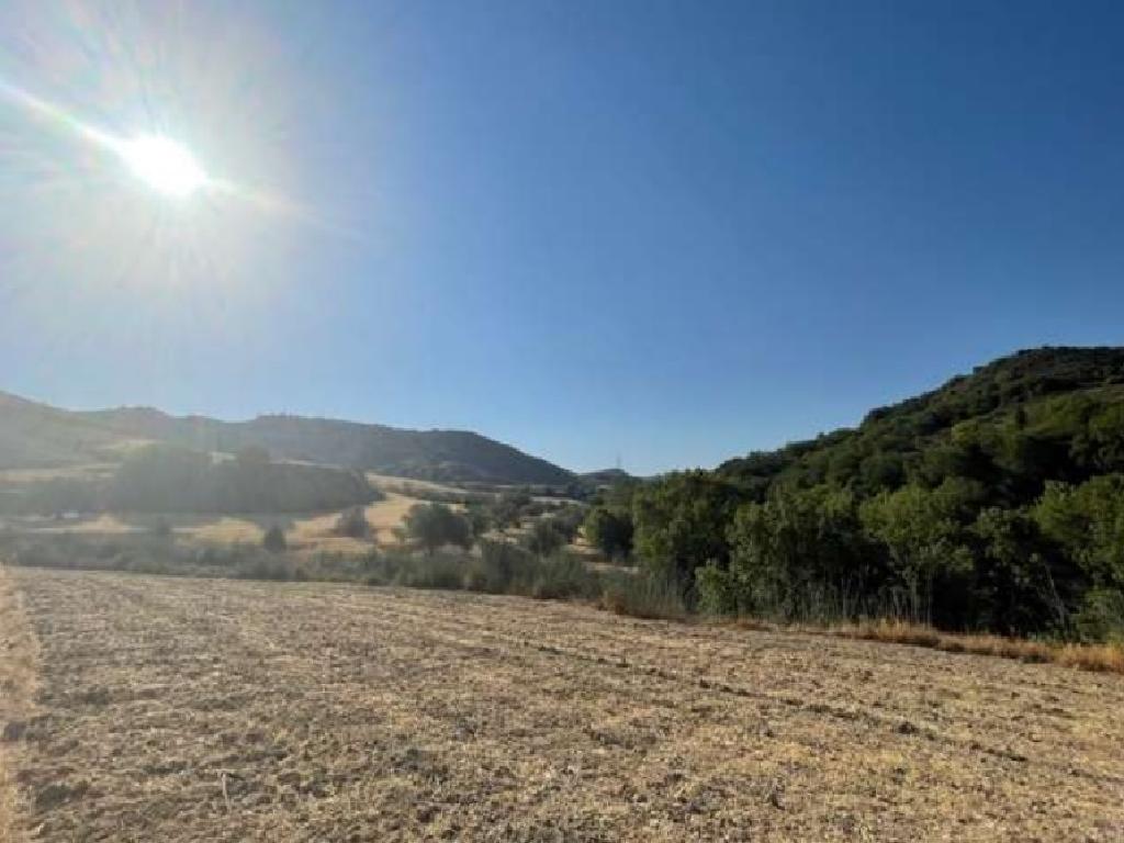 Field-Giolou-PR36962