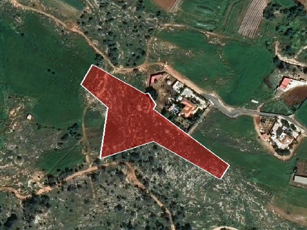 Field-Paralimni-PR37287