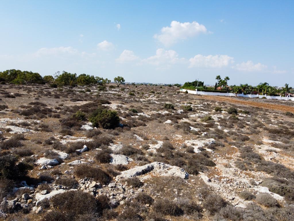 Field-Paralimni-PR37287