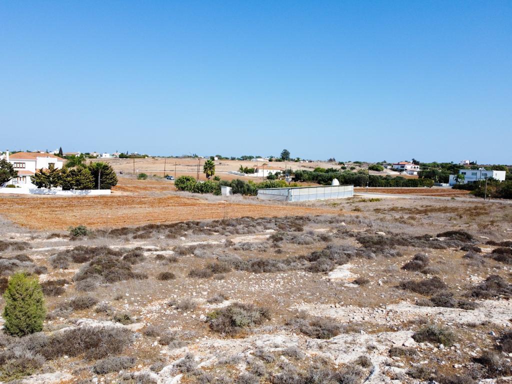 Field-Paralimni-PR37287