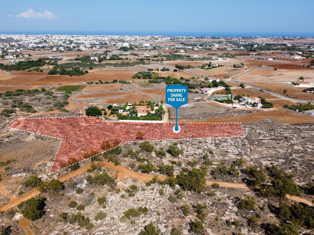 Field-Paralimni-PR37287