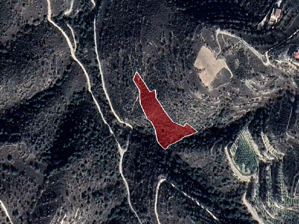 Field-Dora-PR38940