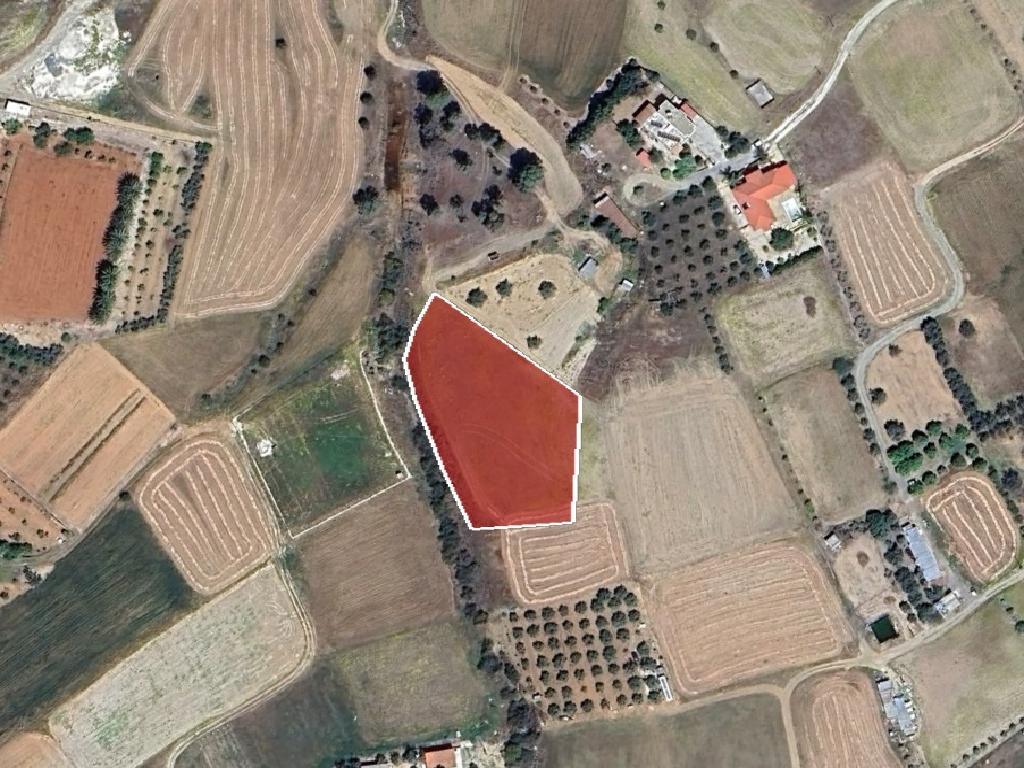 Field - Palaiometocho, Nicosia