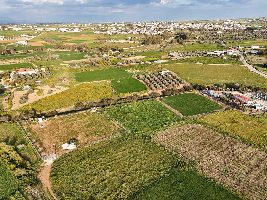 Field - Palaiometocho, Nicosia