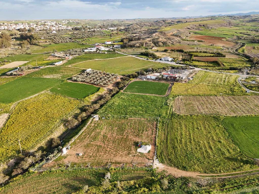 Field - Palaiometocho, Nicosia