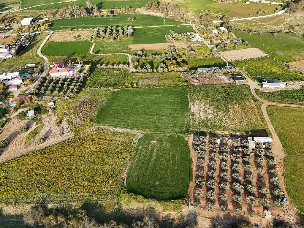 Field - Palaiometocho, Nicosia