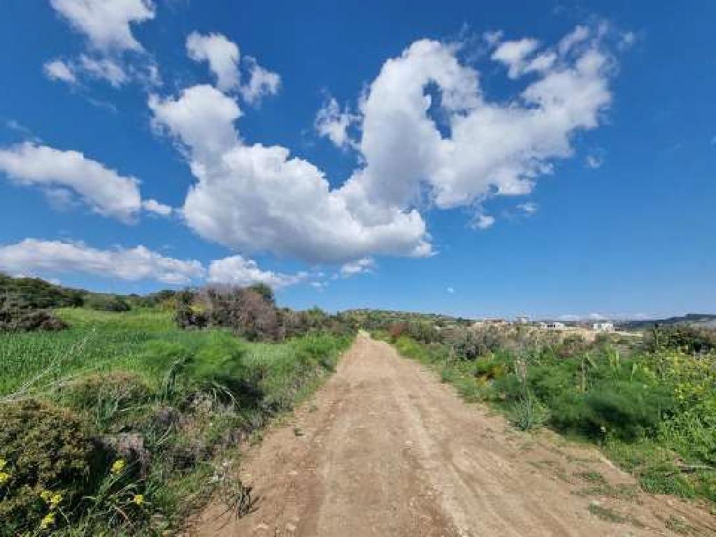 Field (Share) - Tochni, Larnaca