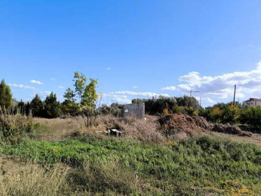 Field-Ormideia-PR41575