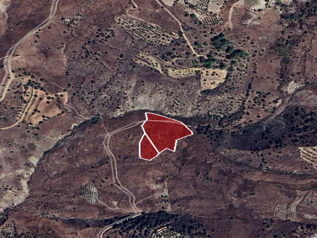 Field-Statos - Agios Fotios-CP10079