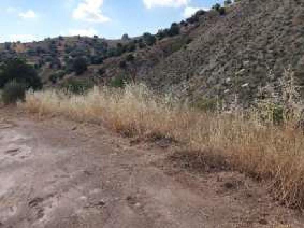 Field-Statos - Agios Fotios-CP10079