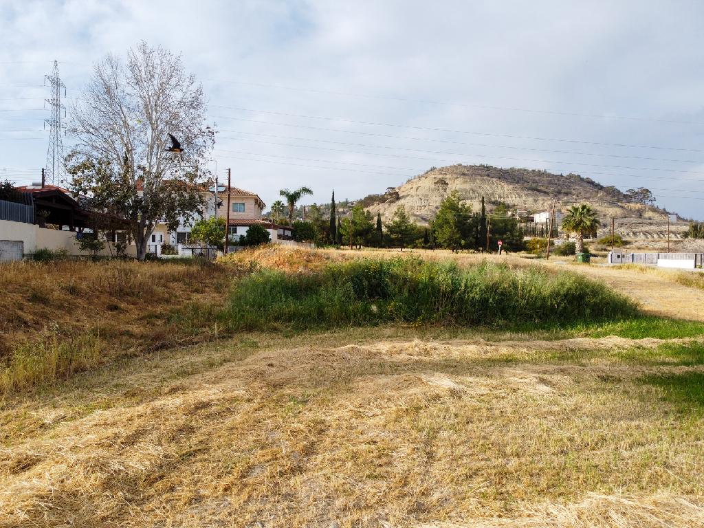 Field - Voroklini, Larnaca
