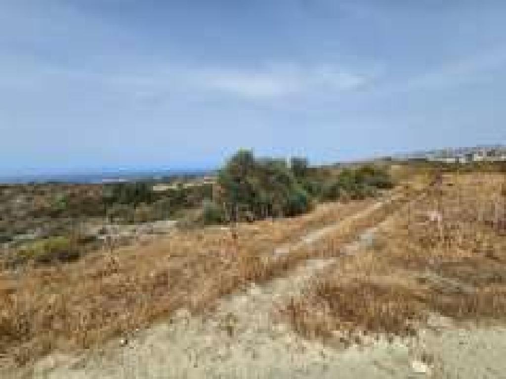 Χωράφι (μερίδιο)-Τρεμιθούσα, Πάφος