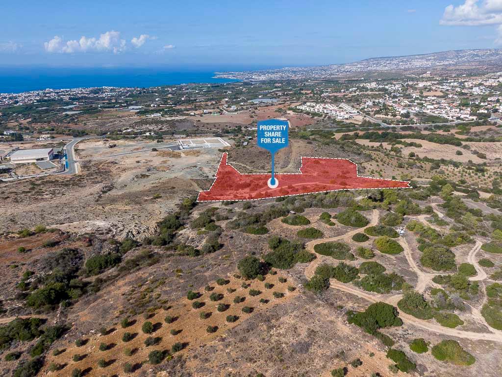 Χωράφι (μερίδιο)-Τρεμιθούσα, Πάφος