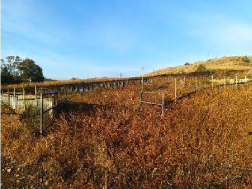 Field-Orounta-PR45065