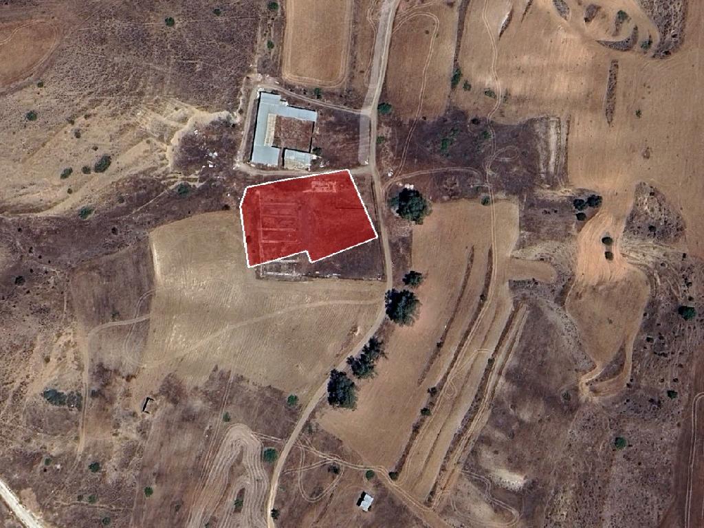 Field-Orounta-PR45065
