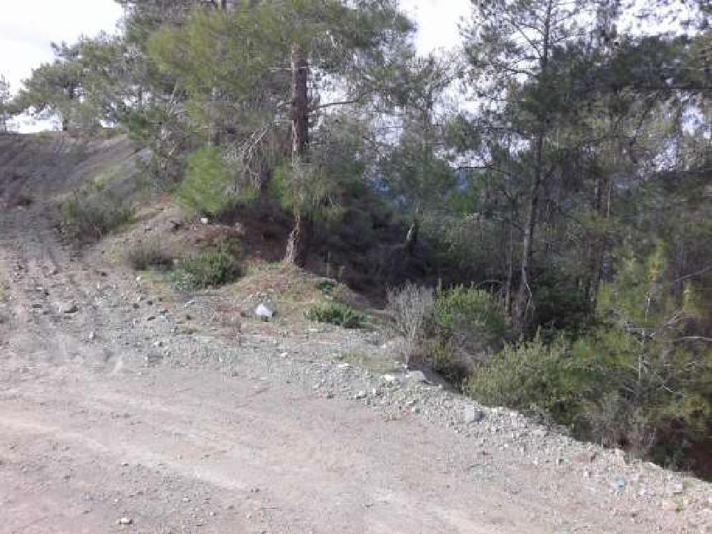 Field-Agios Ioannis-PR33130