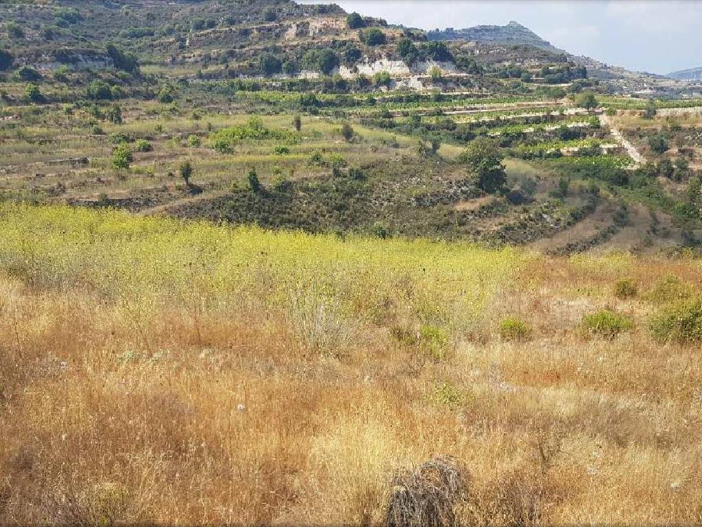 Field-Pachna-PR34012