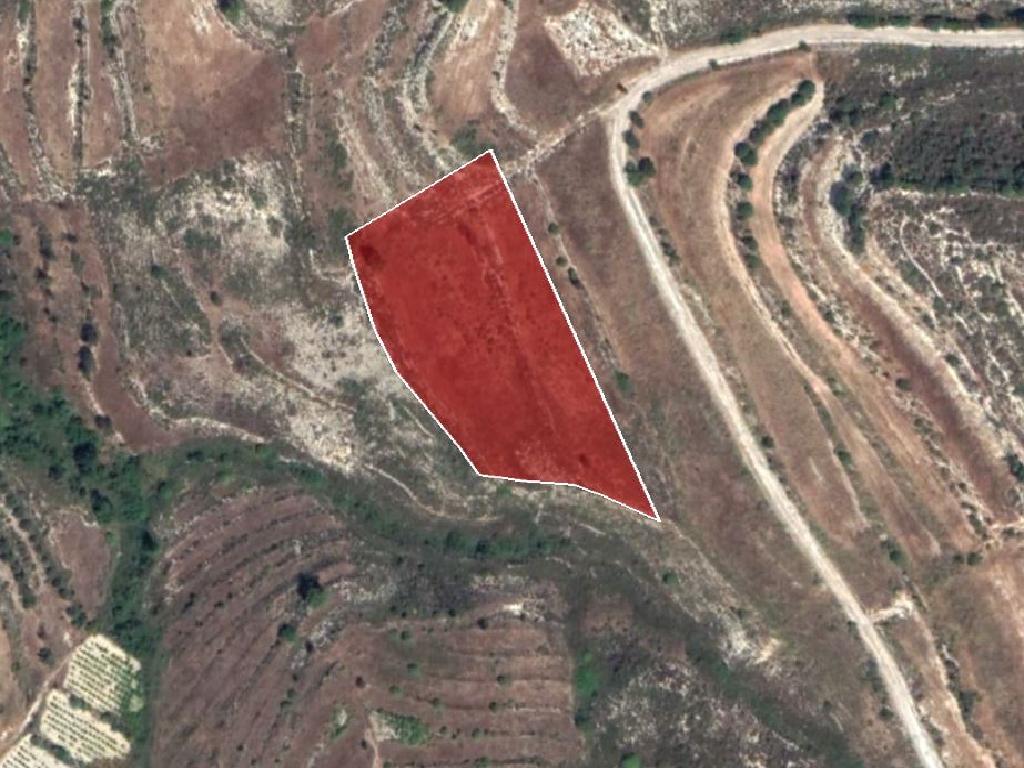 Field-Pachna-PR34012