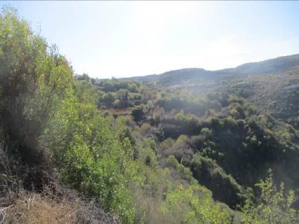 Field-Pano Akourdaleia-PR34507
