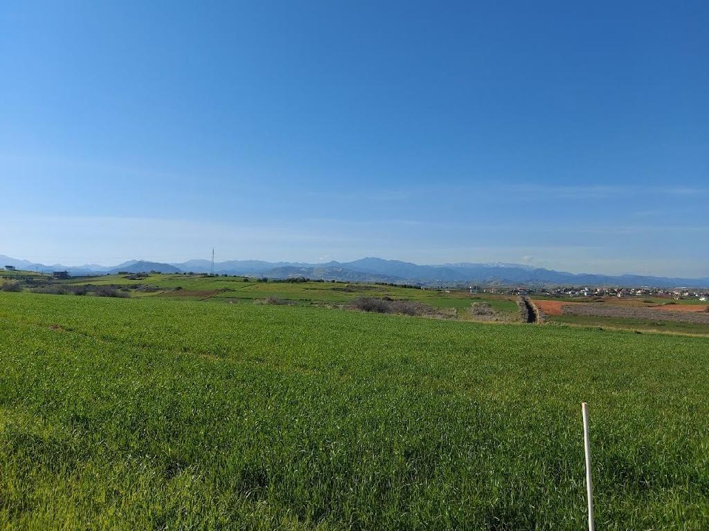 Field (Share) - Paleometocho, Nicosia