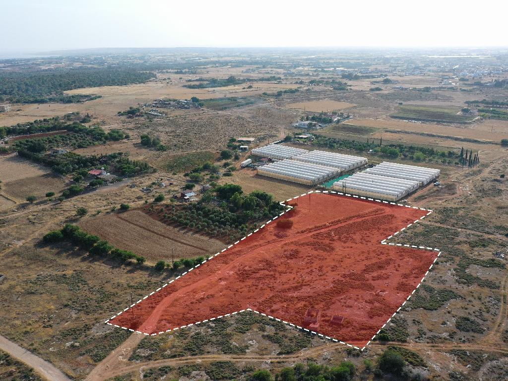 Field-Paralimni-PR36467