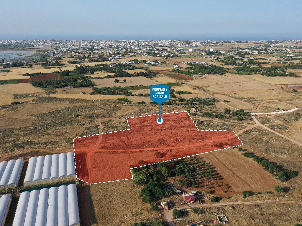 Field-Paralimni-PR36467