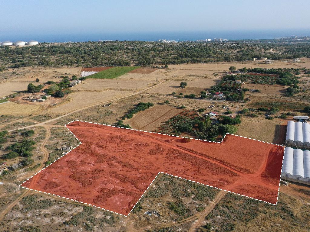 Field-Paralimni-PR36467