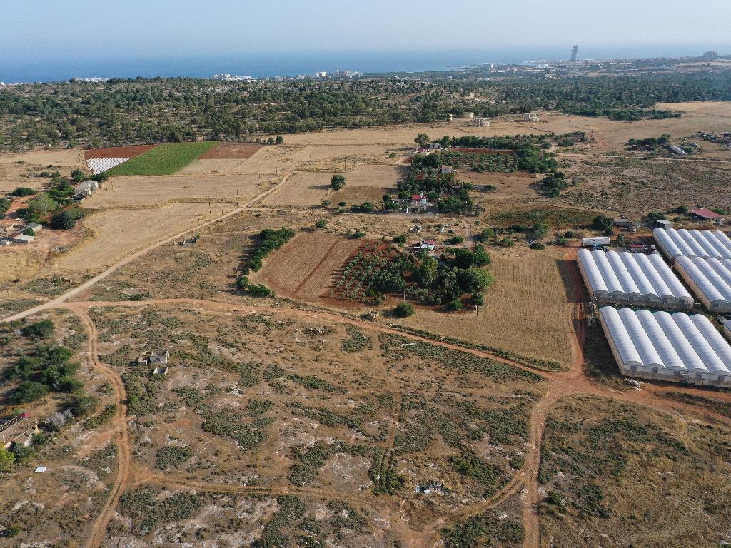 Field-Paralimni-PR36467