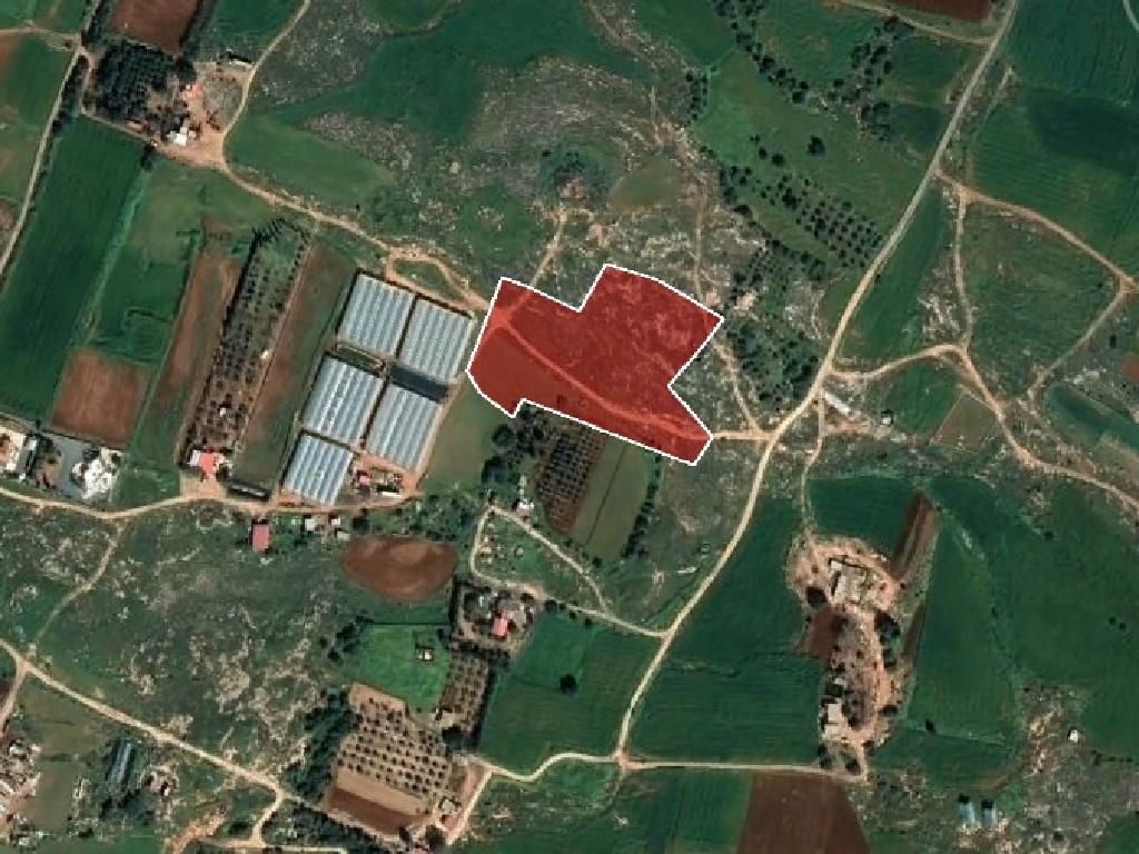 Field-Paralimni-PR36467