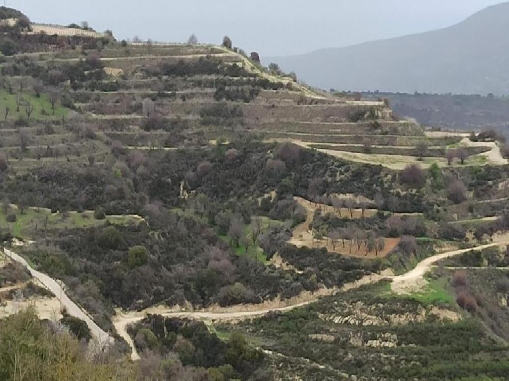 Field (Share) - Theletra, Paphos