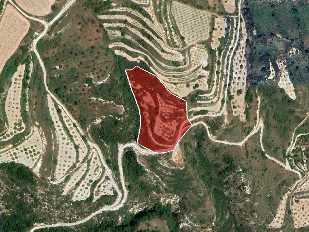 Field (Share) - Theletra, Paphos