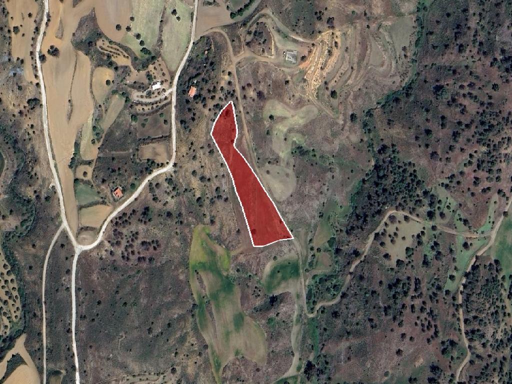 Field - Klirou, Nicosia