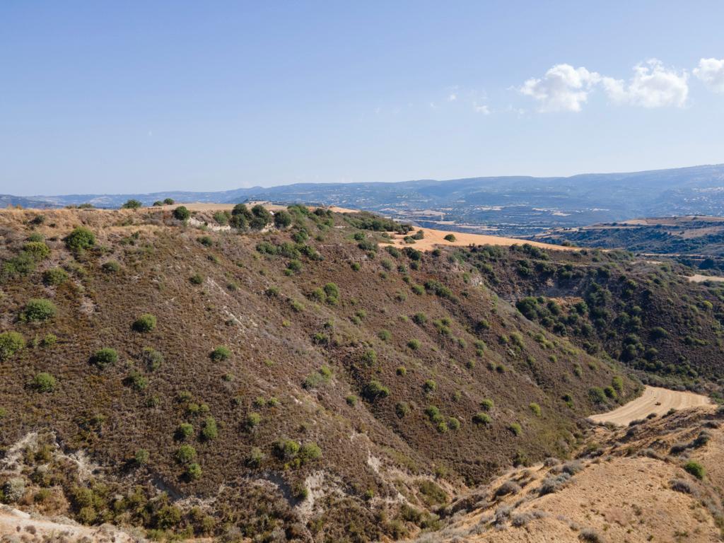 Field-Steni-PR40782