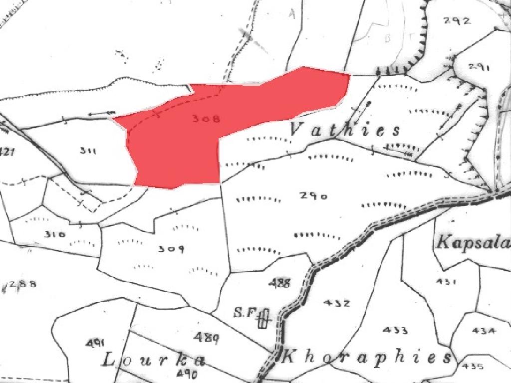 Field-Steni-PR40782