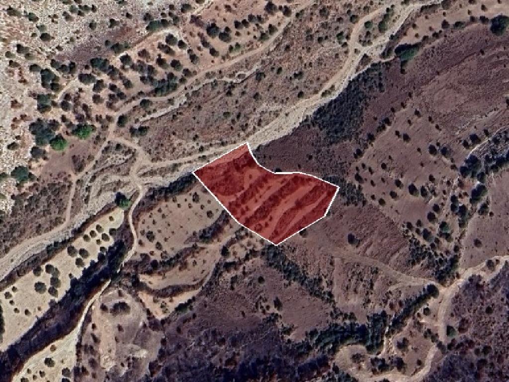 Field-Choulou-PR41113