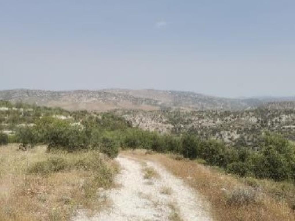 Field-Choulou-PR41113