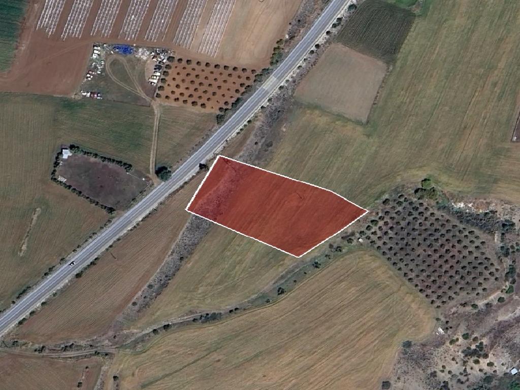 Field-Malounta-PR41498