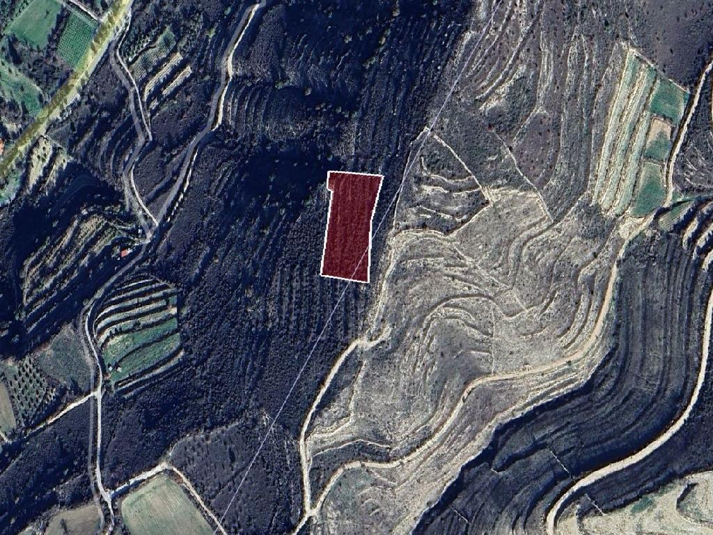 Field-Praitori-PR41722