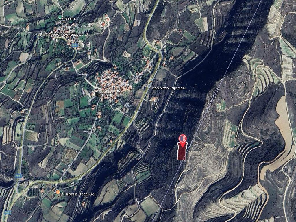 Field-Praitori-PR41722