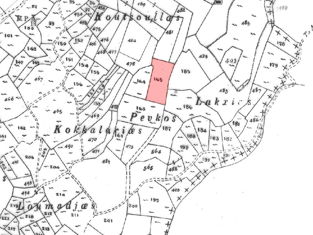 Field-Praitori-PR41722