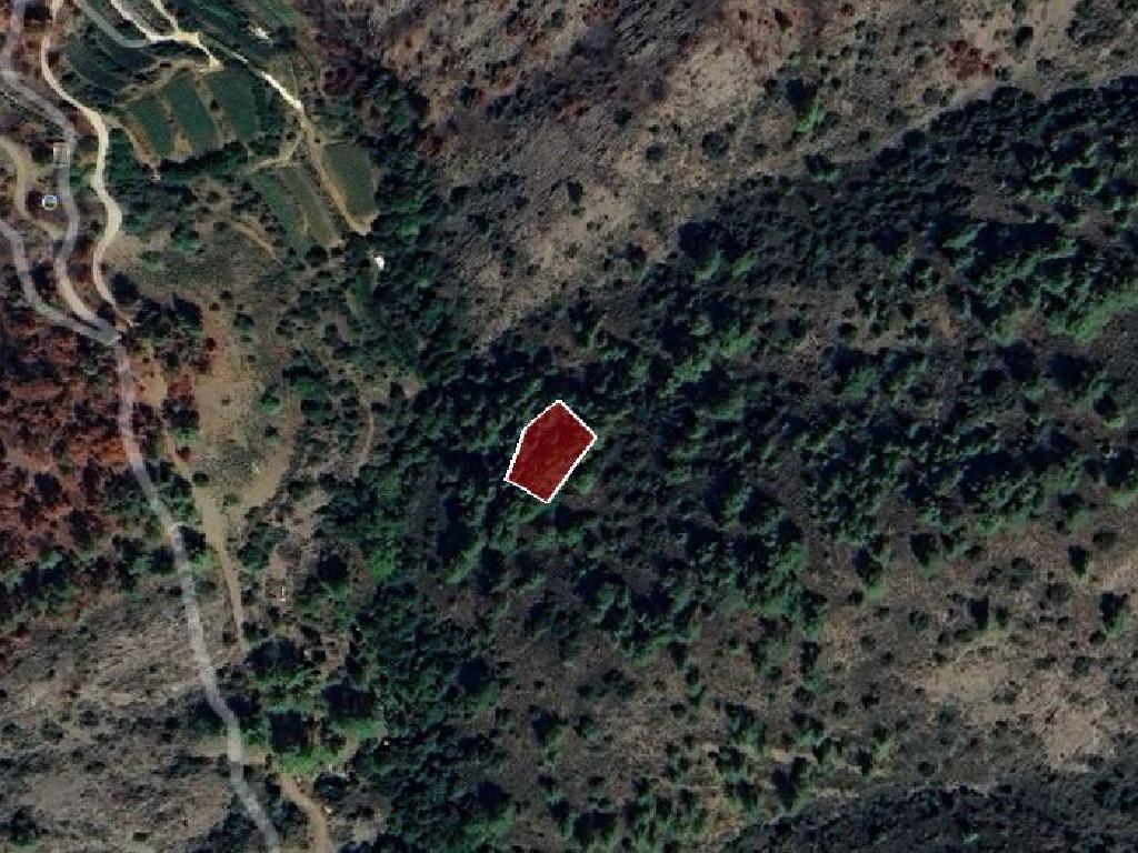 Field-Farmakas-PR41875
