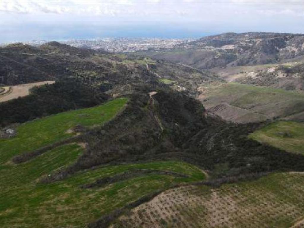 Field-Akoursos-PR41932