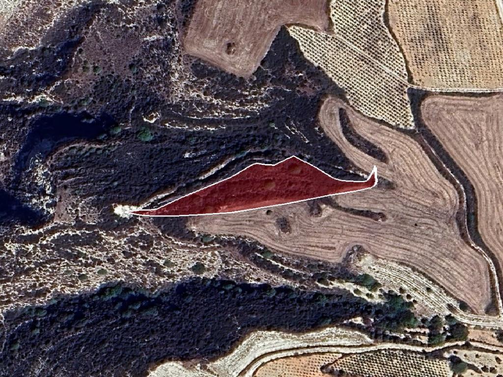 Field-Akoursos-PR41932