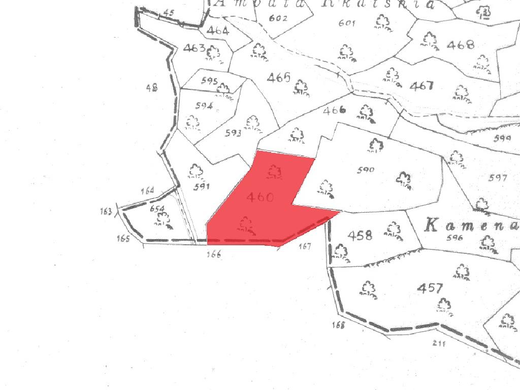 Field (Share) - Parekklisia, Limassol