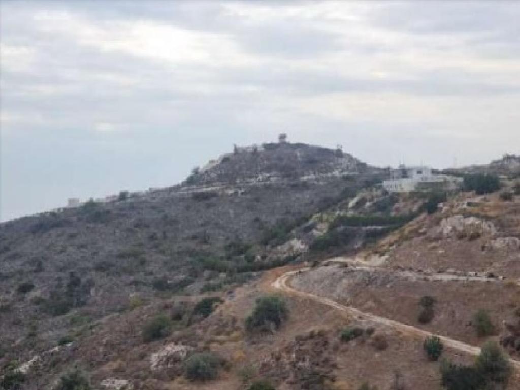 Field (Share) - Parekklisia, Limassol